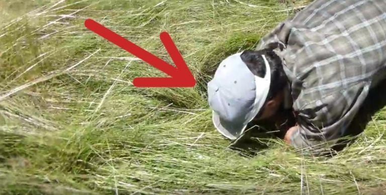 Un hombre hunde sus manos en la hierba y saca a una oveja viva de una agujero