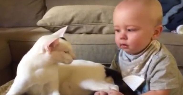 No sabían cómo reaccionaría su gato adoptado al conocer a su bebé y mira lo que ocurrió
