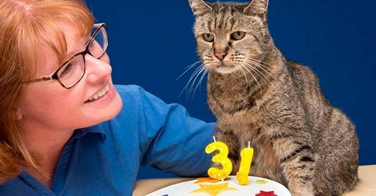 El gato más viejo del mundo hará que te preguntes cuántas vidas tiene un gato
