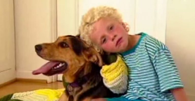 Un niño con problemas de aprendizaje cambia de un día para otro gracias a la ayuda de un perro