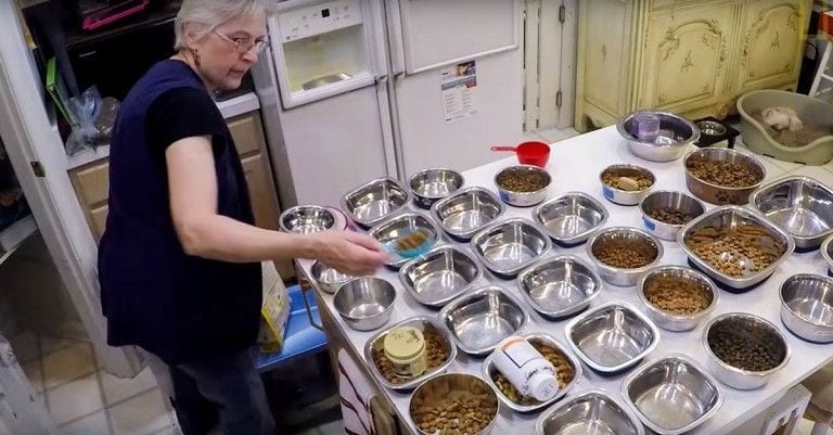 Cada día, esta mujer cuida de 26 perros que fueron abandonados por ser ancianos