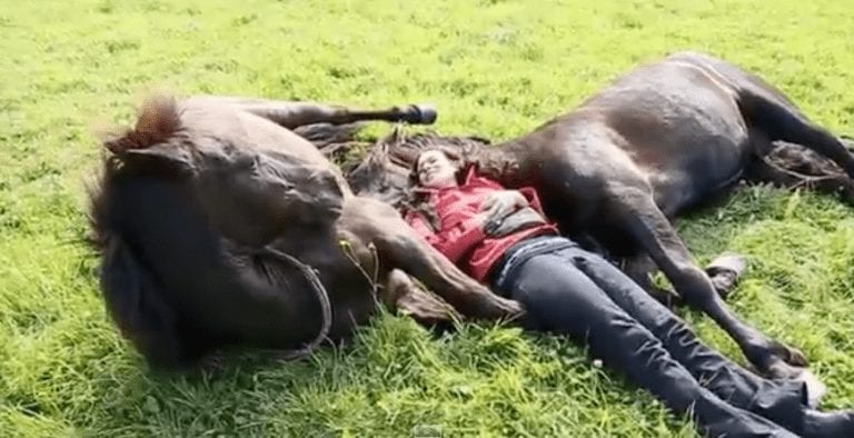 Muere de envidia al ver la bonita relación entre esta mujer y sus caballos