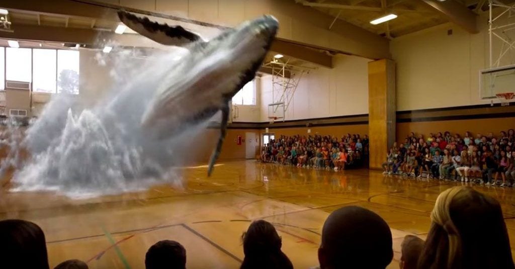 7d zoos magic leap