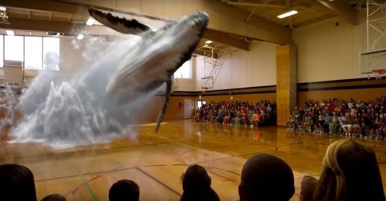 Las imágenes en 7D, una tecnología que podría acabar con el encierro de animales en zoos