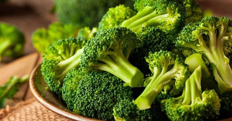 19 alimentos que son beneficiosos para tu perro y que probablemente no imaginabas