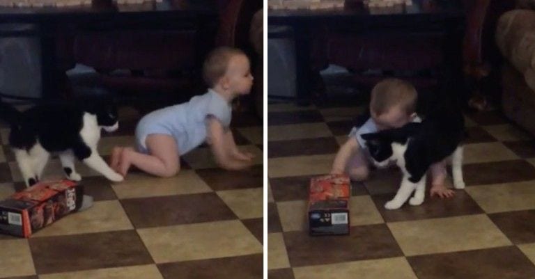 Cuando veas la amistad entre este bebé y su gato entenderás que es genial criarse con una mascota