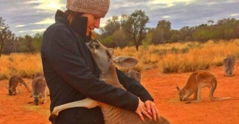 Cada día, esta canguro abraza a sus amigos humanos porque la rescataron de una muerte segura