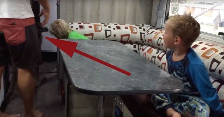 Una familia viaja por Australia y un canguro se les cuela en la caravana
