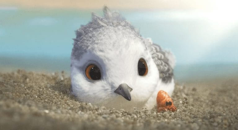 Piper, el precioso corto de Pixar que sorprende por su originalidad y ternura