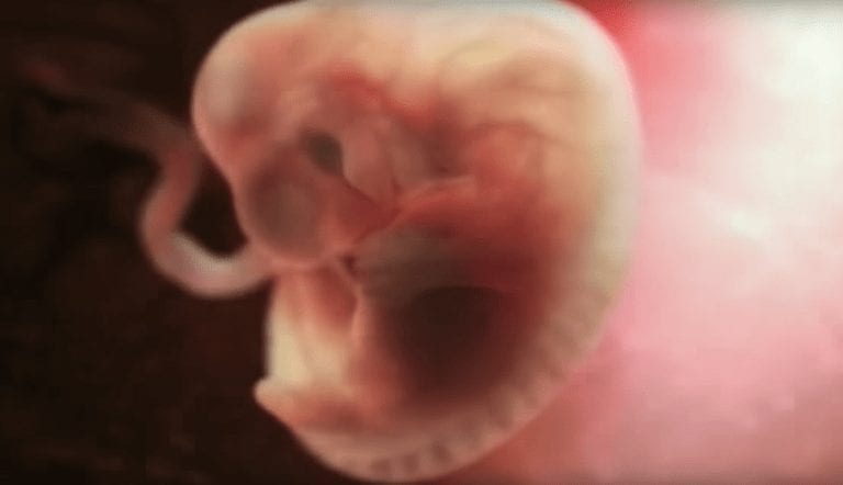 Un vídeo muestra la gestación de un bebé en 4 maravillosos minutos que dan sentido a la vida