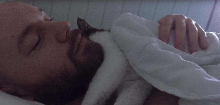Nadie quería adoptar a este gato porque no es como los demás, pero ahora su vida ha cambiado