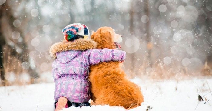 invierno perros dest