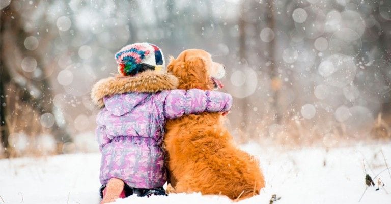 13 imágenes que demuestran que el invierno es mejor si lo compartes con un perro