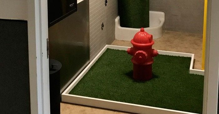 meadero perros aeropuerto dest