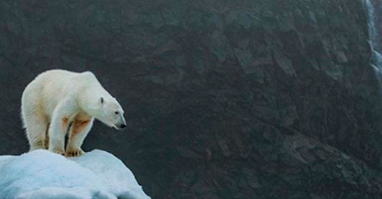 Si no te crees «lo del cambio climático» deberías ver esta foto al completo