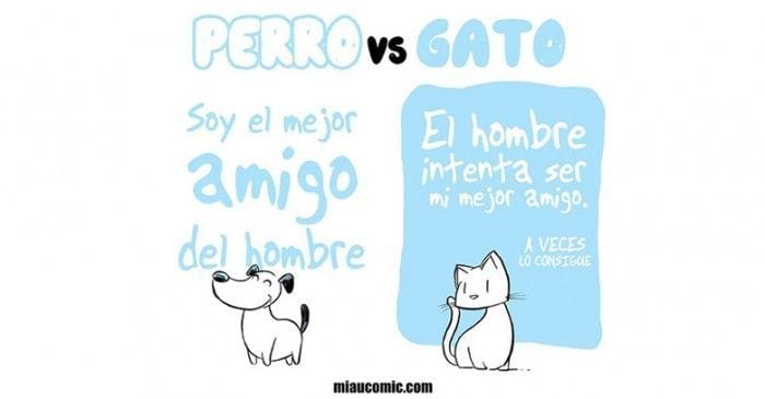 perros vs gatos destacada