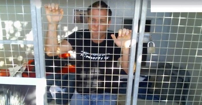 remi gaillard perrera protectora