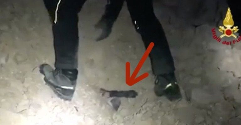 Emocionante el rescate de un perro atrapado en las ruinas del terremoto