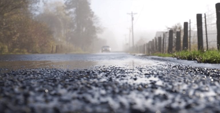 Salmones cruzando una carretera, las imágenes más raras que vas a ver hoy