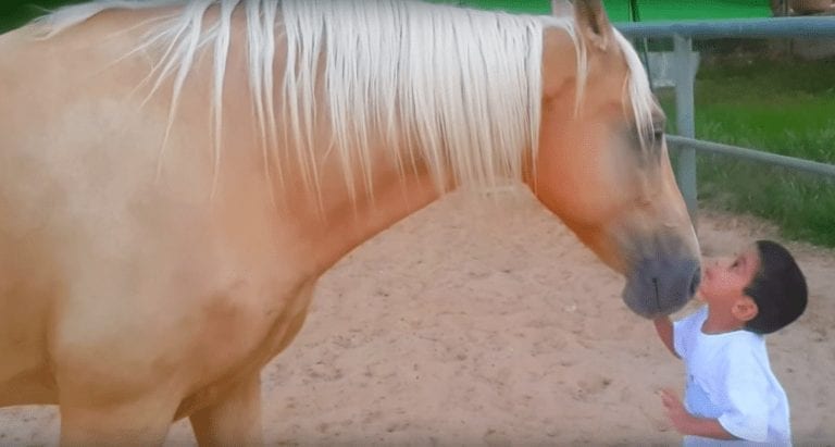 Este niño tiene síndrome de Williams y no se relacionaba con nadie hasta que conoció a un caballo