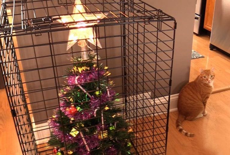 15 ideas para proteger el árbol de Navidad de sus depredadores naturales: las mascotas
