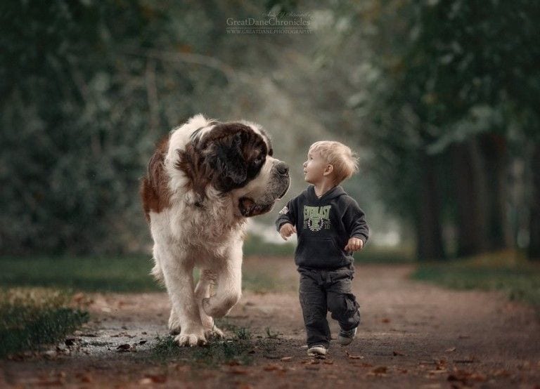 15 niños con perros gigantes que te enseñan lo que es la amistad