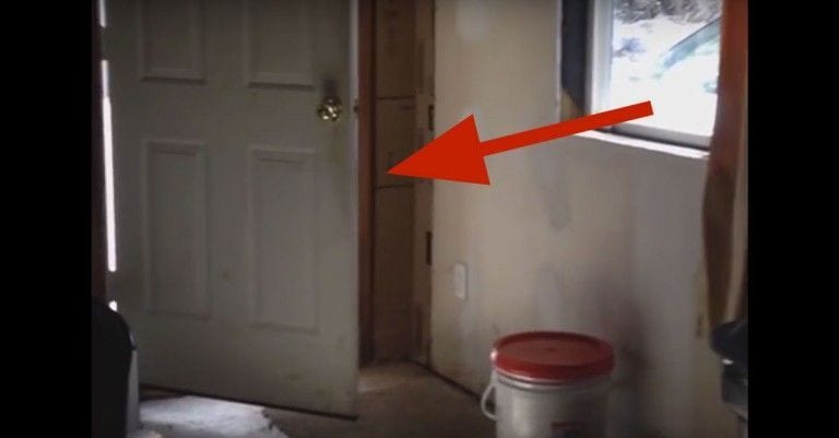 La hilarante aventura del perro con un palo más grande que la puerta