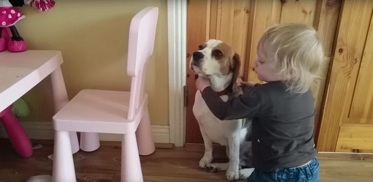 Su perro le roba la comida y esta niña tiene la mejor reacción posible