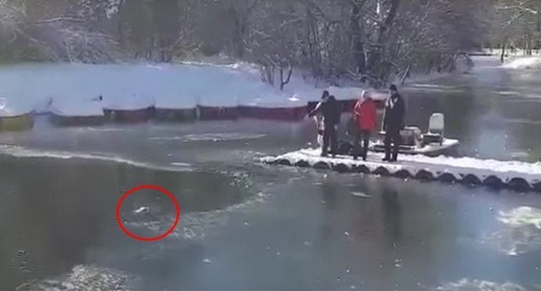 Un hombre salva a un perro de morir ahogado en mitad de un río congelado