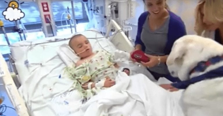La visita que recibe este niño en el hospital es de lo más bonita e inesperada