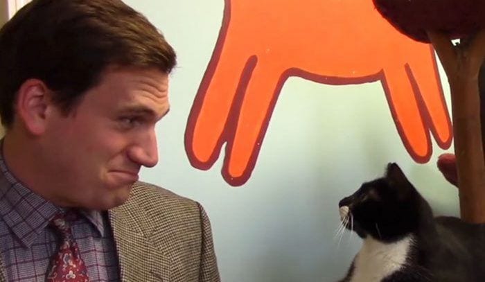 anuncio furkids destacada