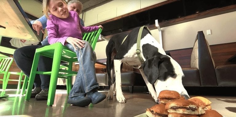 Su enorme perro la ayuda a caminar, y a cambio ella le ha preparado el día perfecto