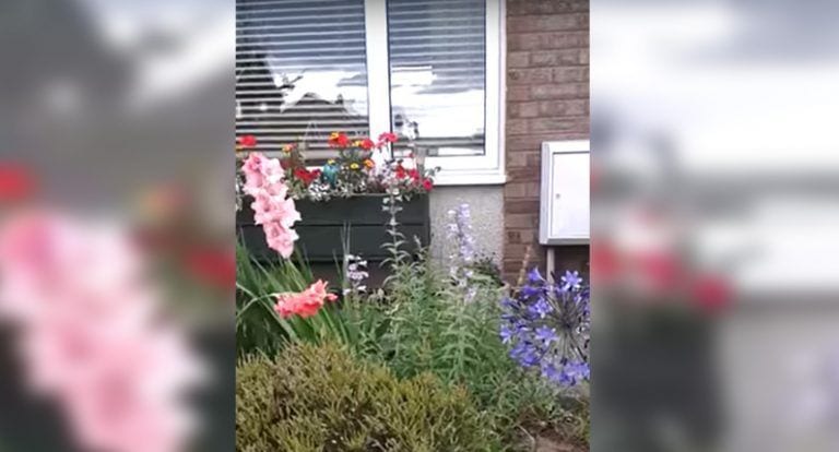 Al poco tiempo de morir su abuela, encontró este vídeo en su teléfono móvil