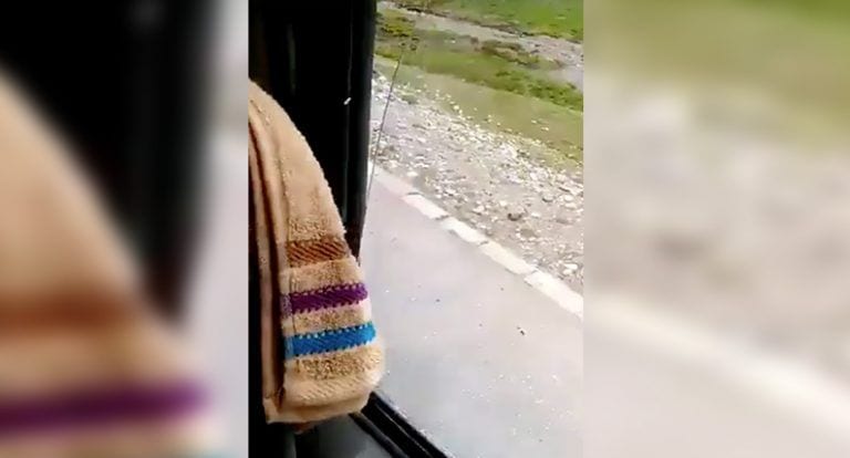 Iban tan tranquilos por la carretera cuando tuvieron que parar al ver una pelea