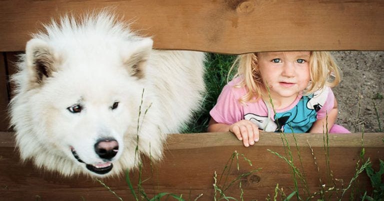 20 razones por las que crecer con un perro es más que recomendable