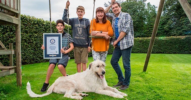 Su perro ha batido un Récord Guinness, ¿quieres saber por qué?