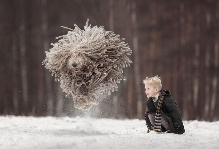 Las mágicas fotos de un niño y su particular y gigantesco perro te van a encantar