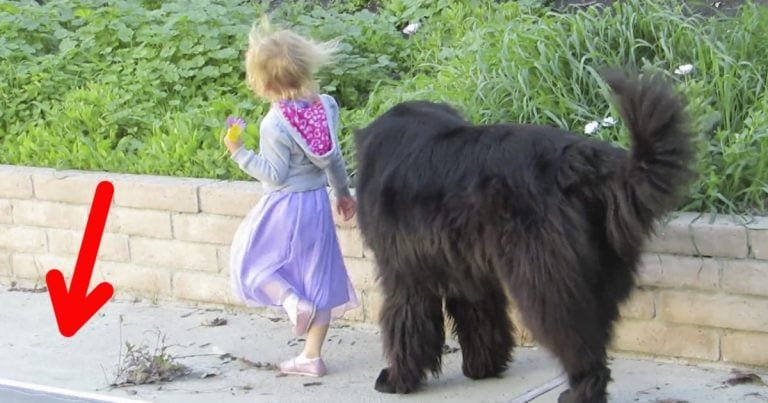 Una niña juega cerca de una zona peligrosa, pero su amigo tiene una actitud digna de aplauso
