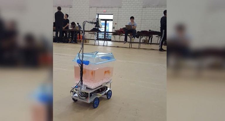 Un invento genial, pero ¿qué hacemos ahora con esto?