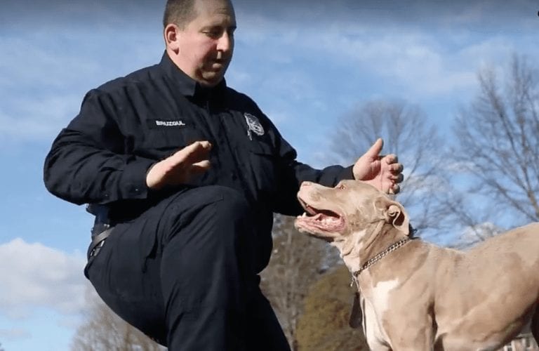 En EEUU se sacrifican un millón de Pit Bull cada año. Ella iba a ser uno de ellos