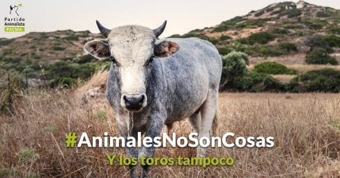 Y LOS TOROS TAMPOCO 488x256