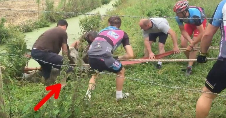 La forma en que estos hombres rescataron a este caballo es sencillamente genial