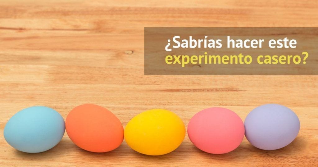 experimento huevos
