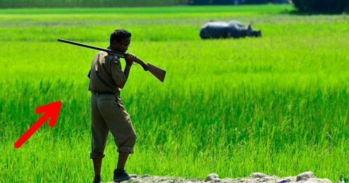 parque protege rinocerontes