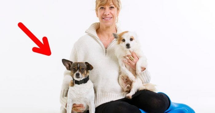 perro nathalie sesena