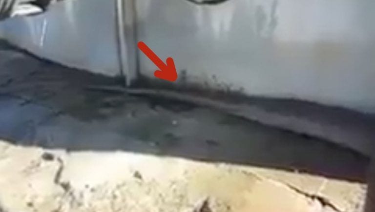 Lo que grabó es tan impresionante como el susto que te da al final