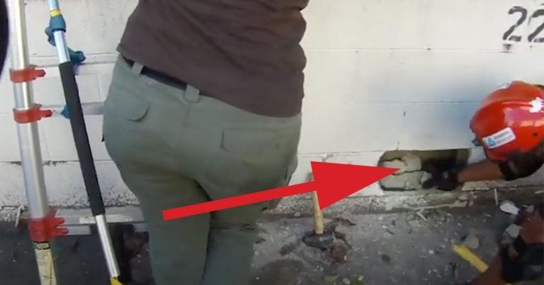 Estaban rompiendo un muro para salvar a un gato