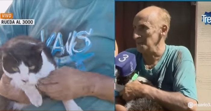 hombre gata incendio destacada