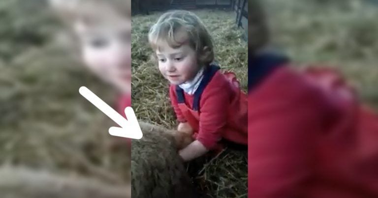 Cuando los niños conviven con la naturaleza ocurren cosas tan increíbles como esta