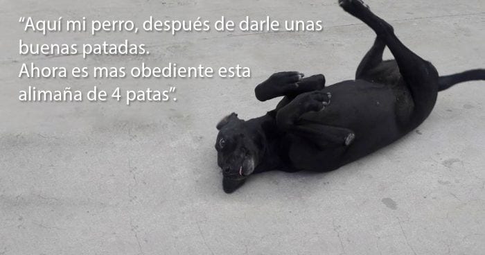 pagina facebook destacadaa